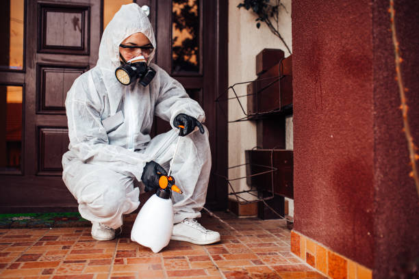 Attic and Crawl Space Rodent Treatment in Quincy